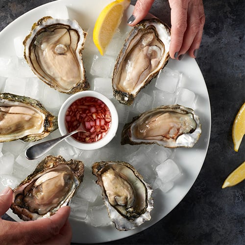 six oysters on a plate