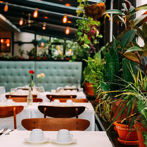 tables with cloth tablecloths, low lighting, plants