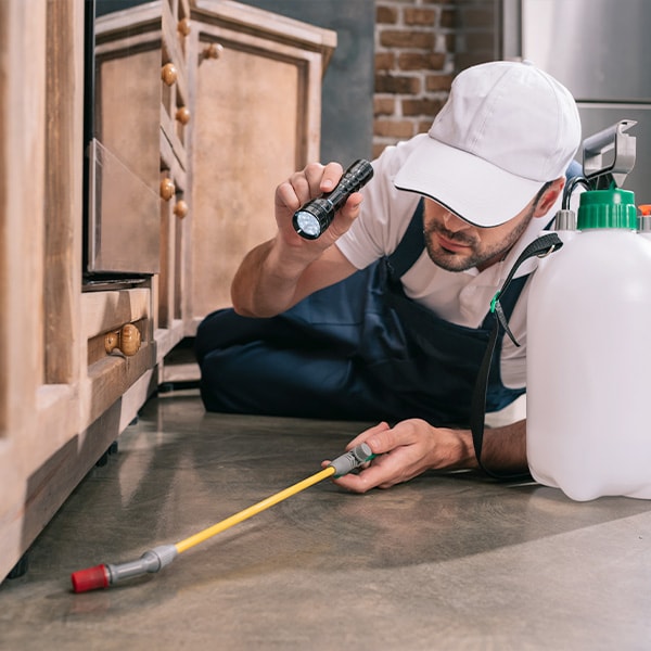 pest control worker lying on floor and spraying pesticides under cabinet in kitchen