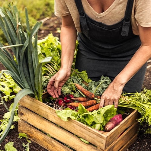 Work with Your Food Suppliers