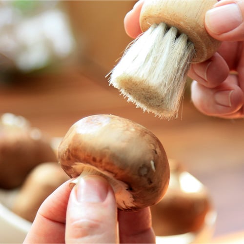 Using a small brush to clean a mushroom