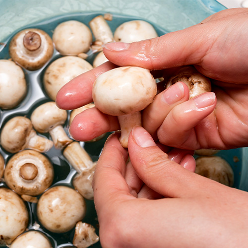 Cook cleaning bowl of mushrooms with water