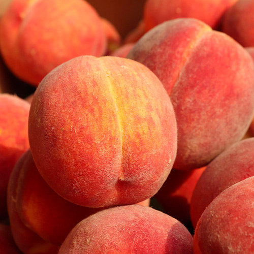 A bushel of delicious peaches