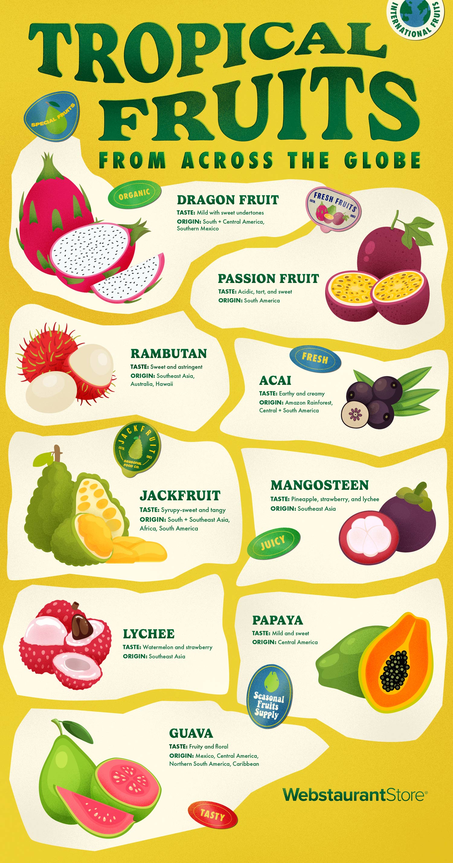 Tropical Fruits Infographic
