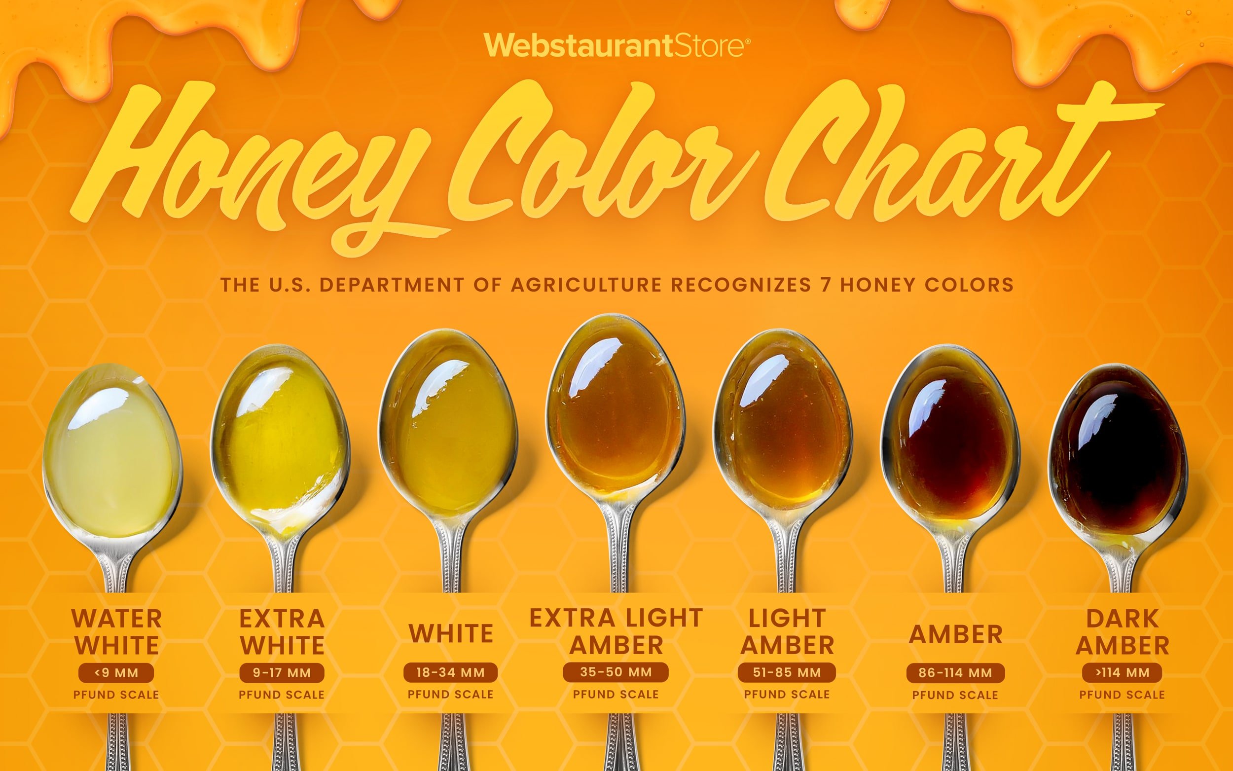 Honey color chart