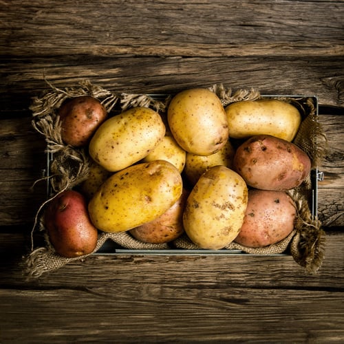 Potatoes in an old box with burlap cloth on a wooden table