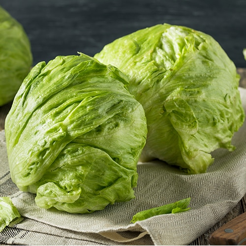 Crisphead Lettuce