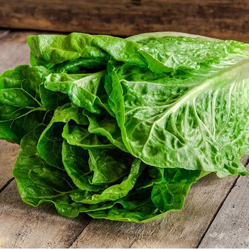 Romaine Lettuce