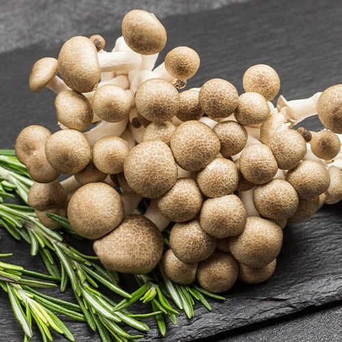 brown beech mushrooms on a slate platter with sprigs of rosemary