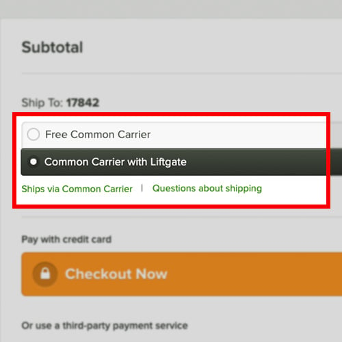 Selecting common carrier with liftgate at checkout