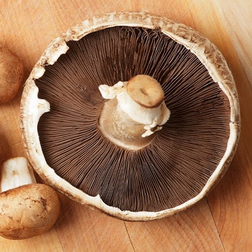portobello and crimini mushrooms arranged on a cutting board, top view
