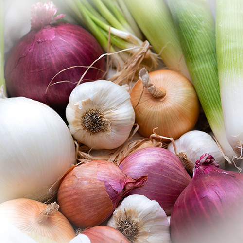 shallots, green onions, white onions together