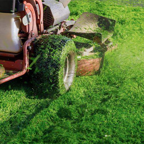 Close up shot of mower cutting grass