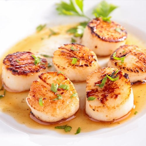 seared scallops on a white plate in sauce