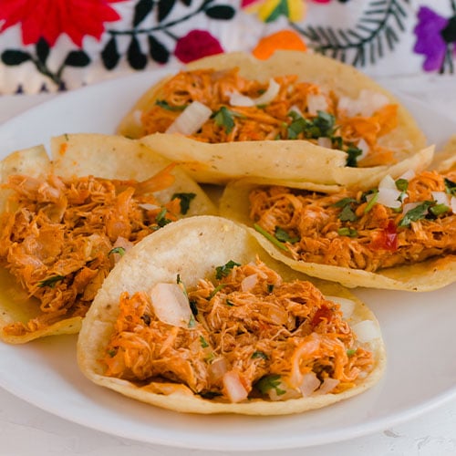 Four tinga tacos on a white plate