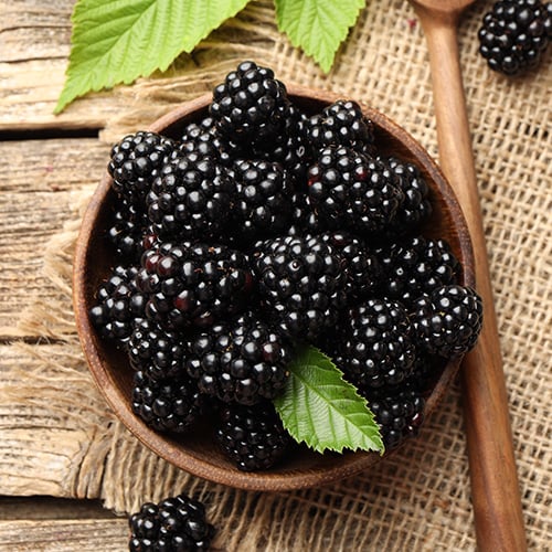 blackberries in a bowl