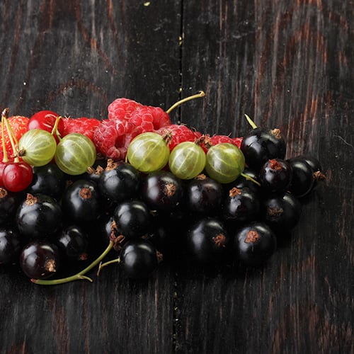 black currants in a bowl