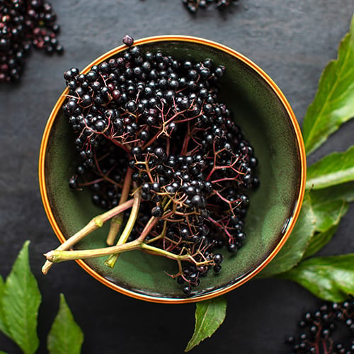 elderberries in a bowl