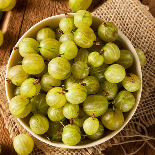 gooseberries in a bowl