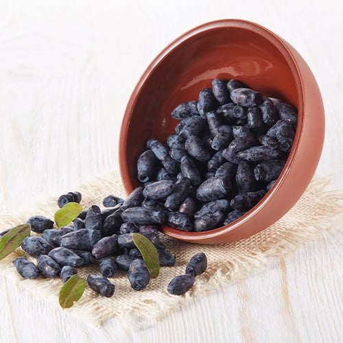 honeyberries in a bowl