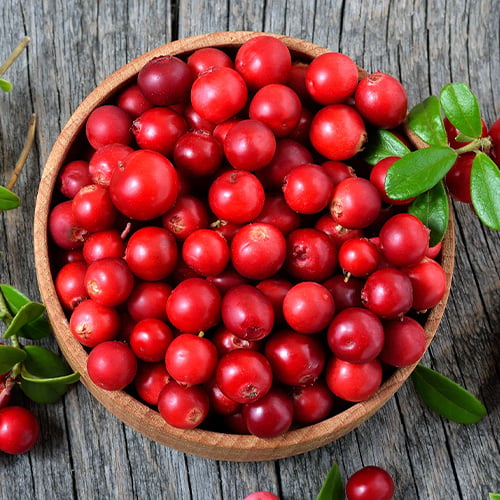lingonberries in a bowl