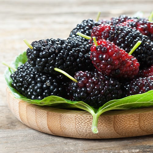 mulberries in a bowl
