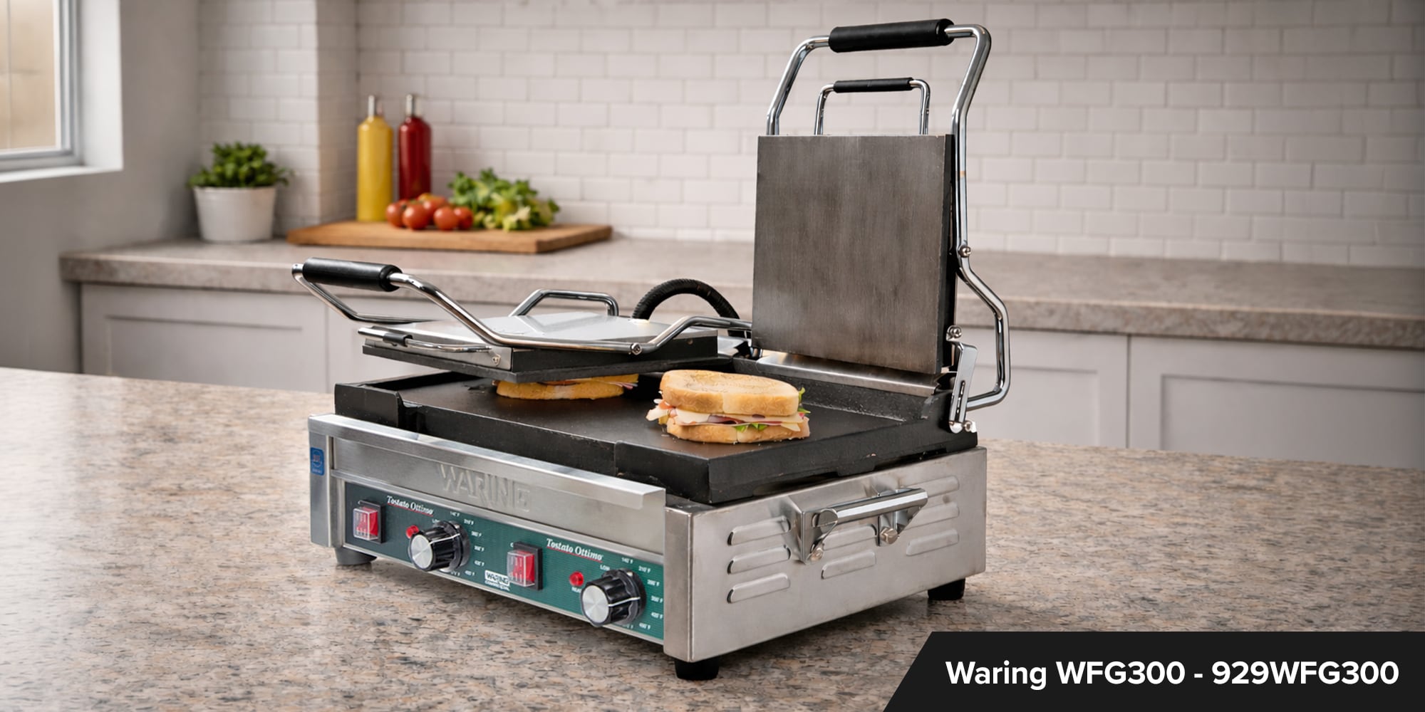 Best Dual Panini Grill