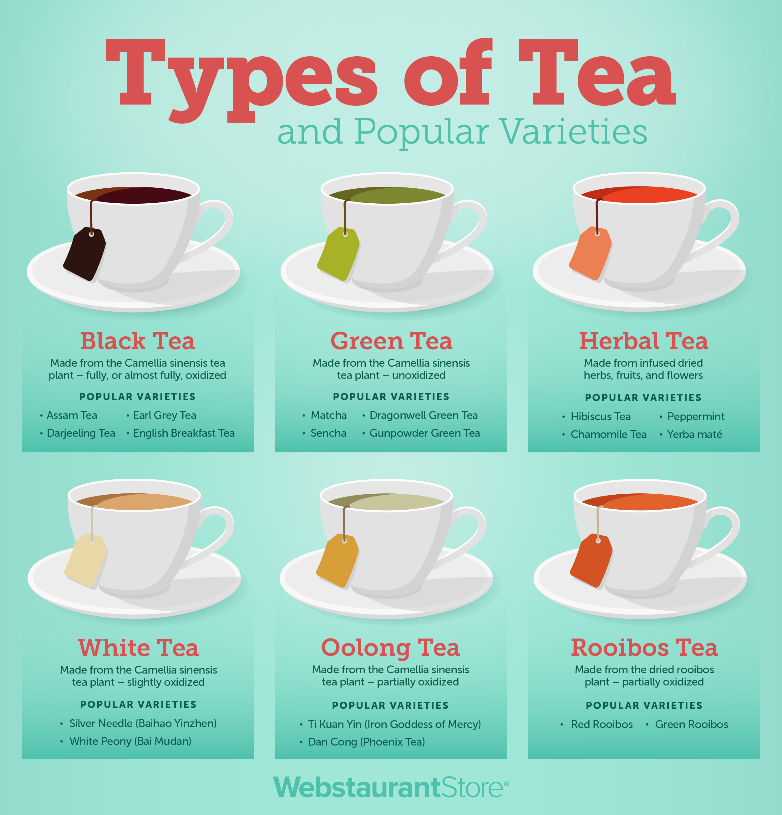 Herbal Tea vs. Regular Tea: Unveiling the Differences | Just Tea