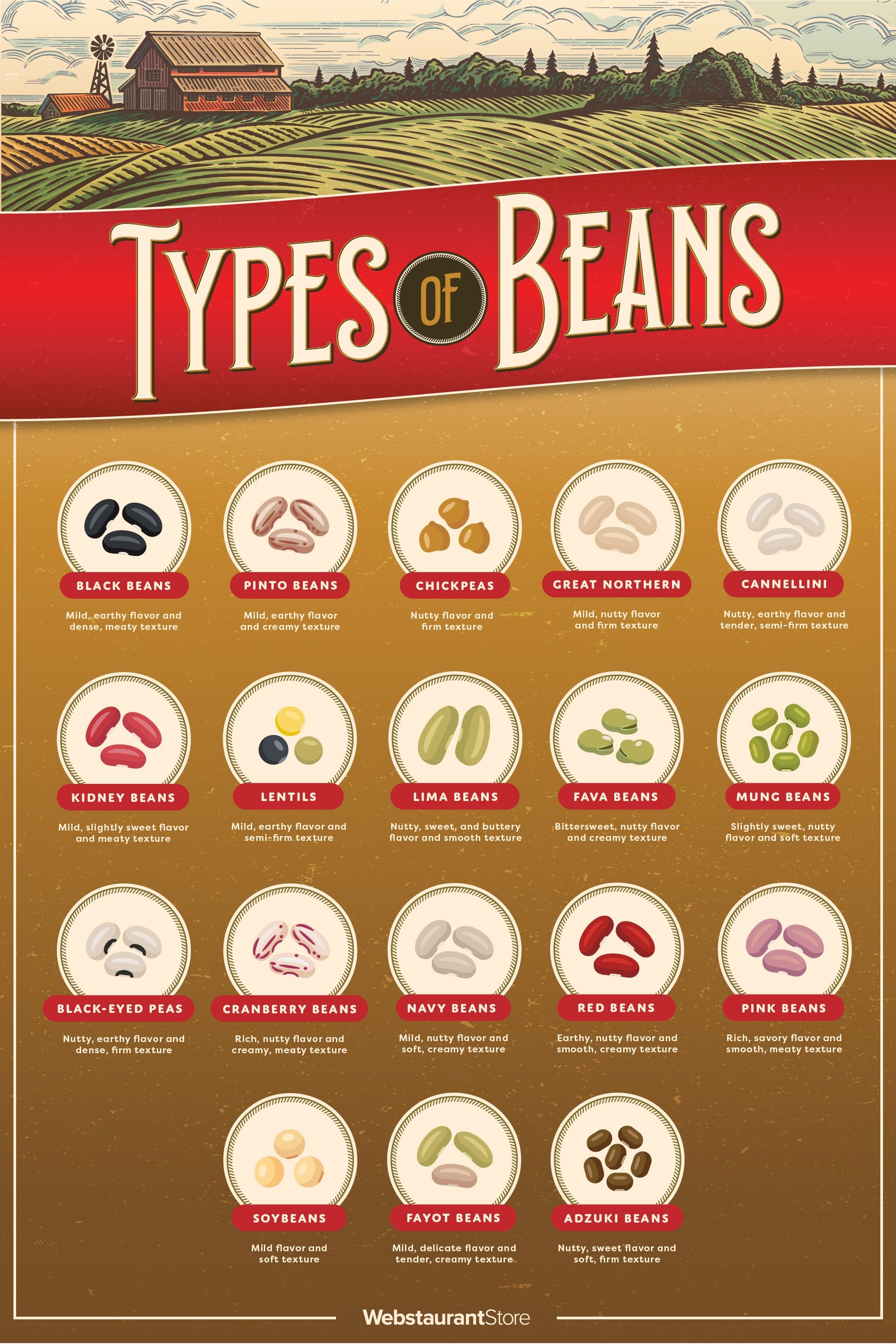 List of beans