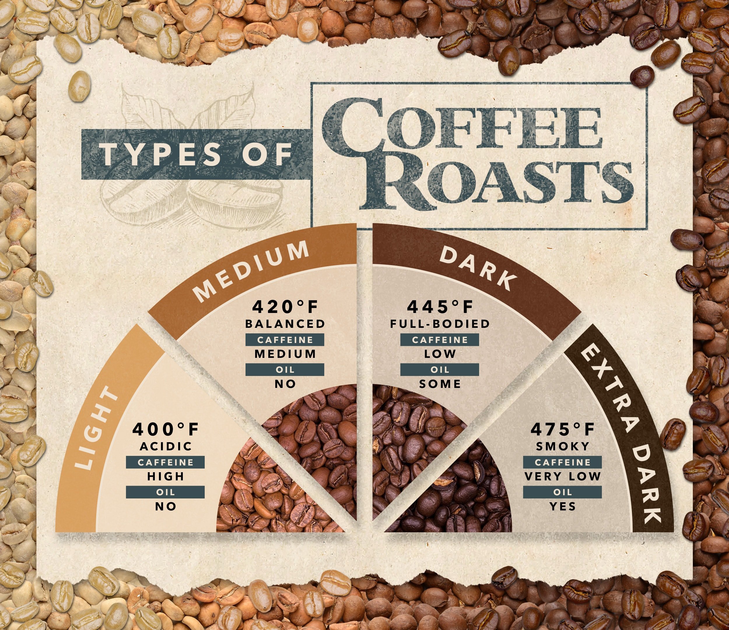 Infographic detailing different levels of coffee roasts.