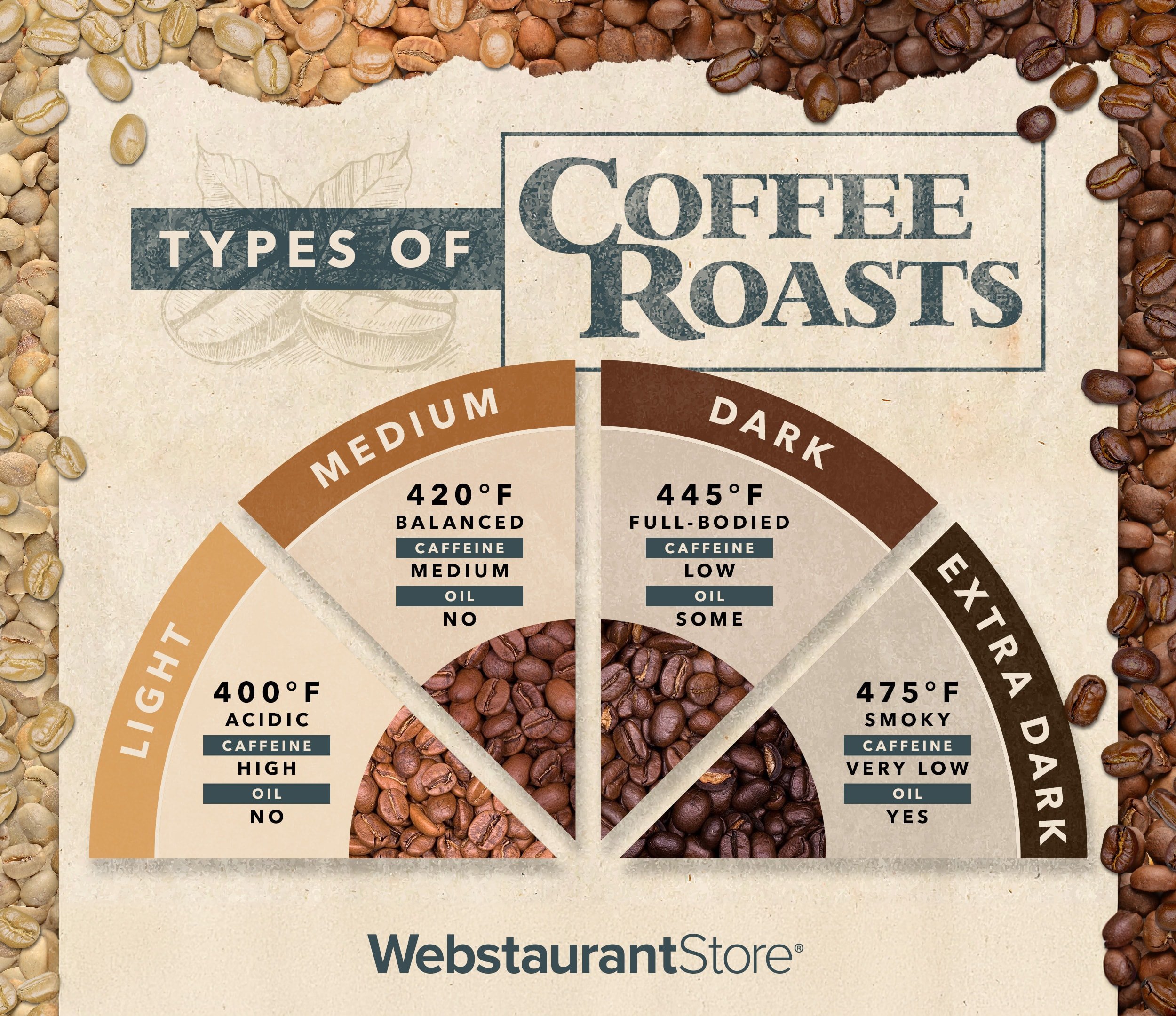 Infographic detailing different levels of coffee roasts.