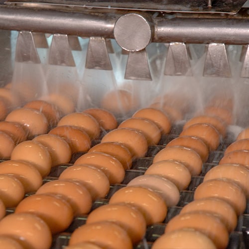 Egg Food Safety in Your Kitchen: Everything You Need to Know