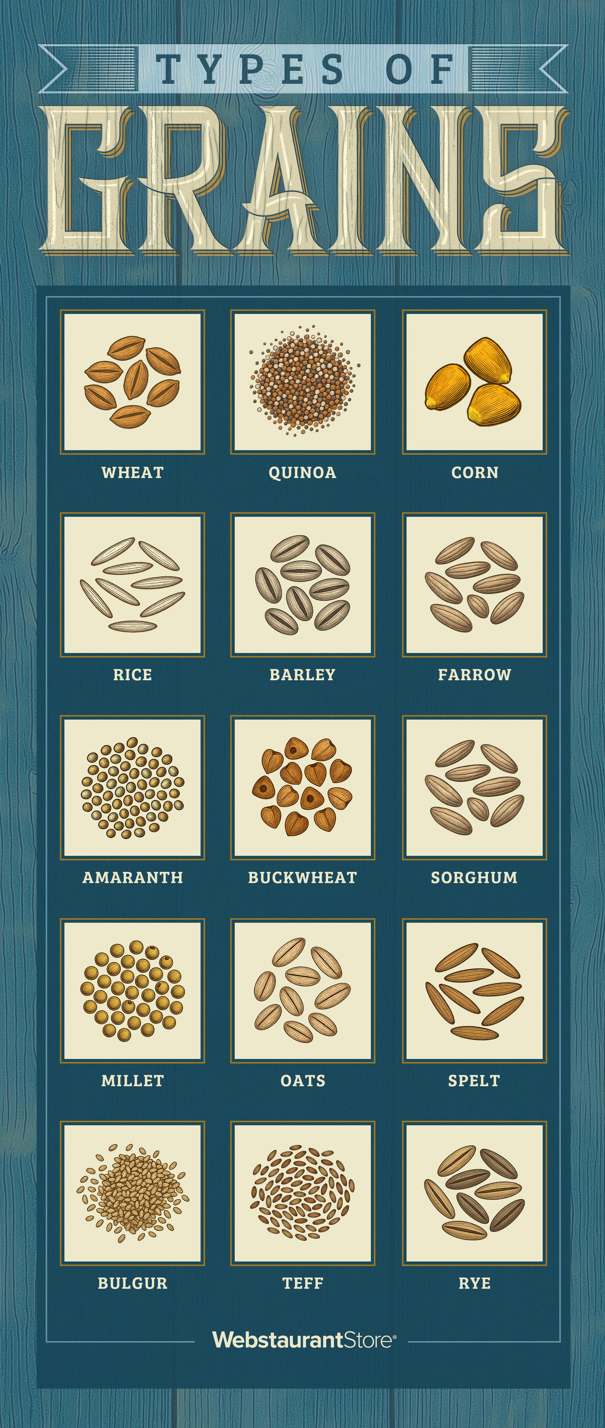 Types of Grains Infographic