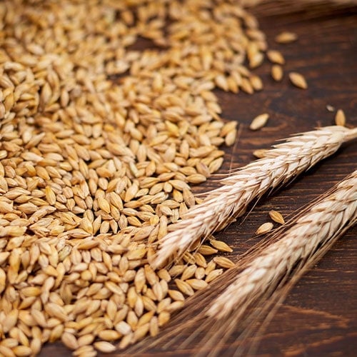 Restaurant Equipment