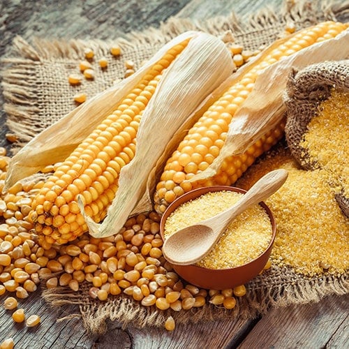 Restaurant Equipment