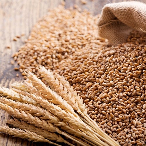 Restaurant Equipment