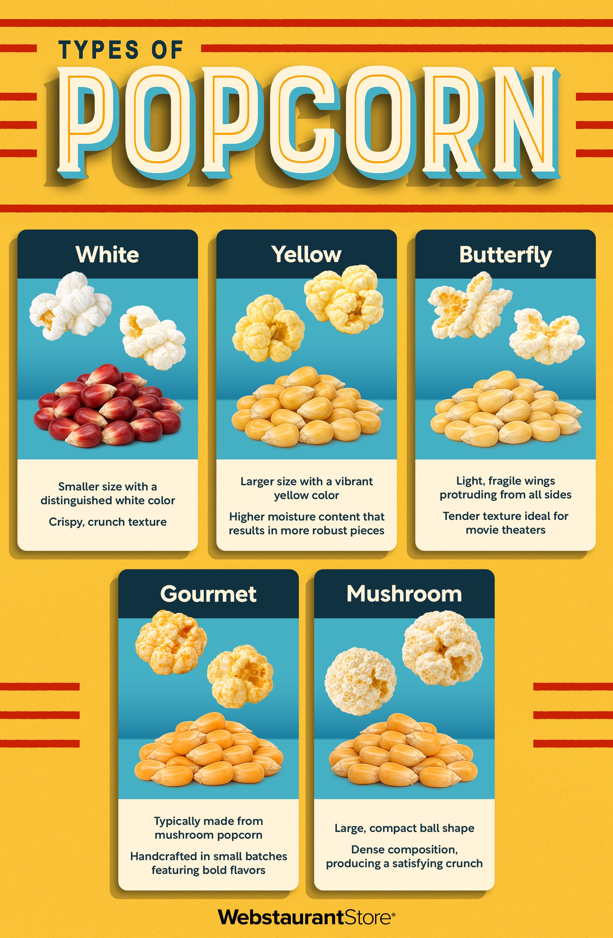 Types of popcorn infographic. Learn about: white, yellow, butterfly, gourmet, and mushroom popcorn.