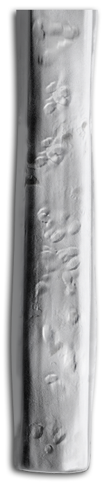 Acopa
Architect 18/8