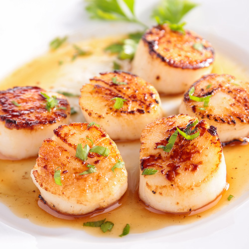 Scallops on a plate