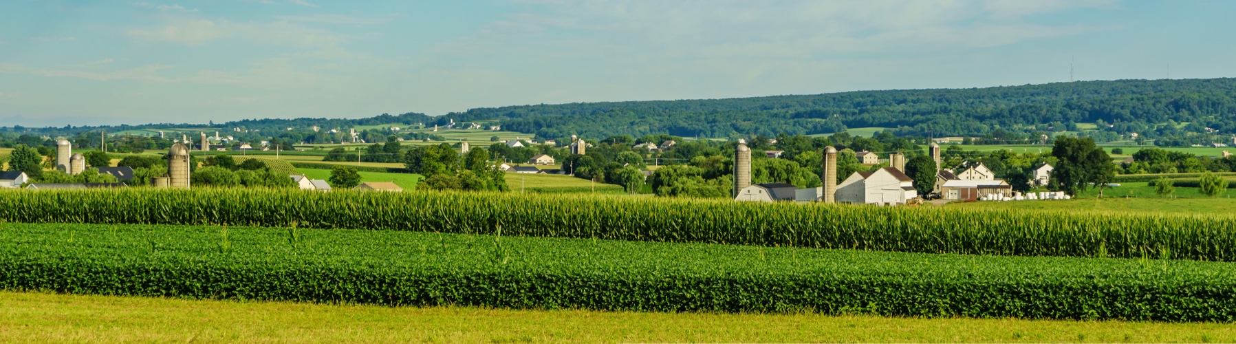 Pennsylvania Dutch Foods Bulk Food from Lancaster County