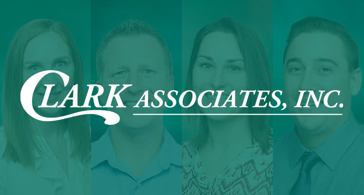 description of main news article image