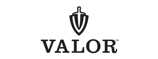 Valor logo