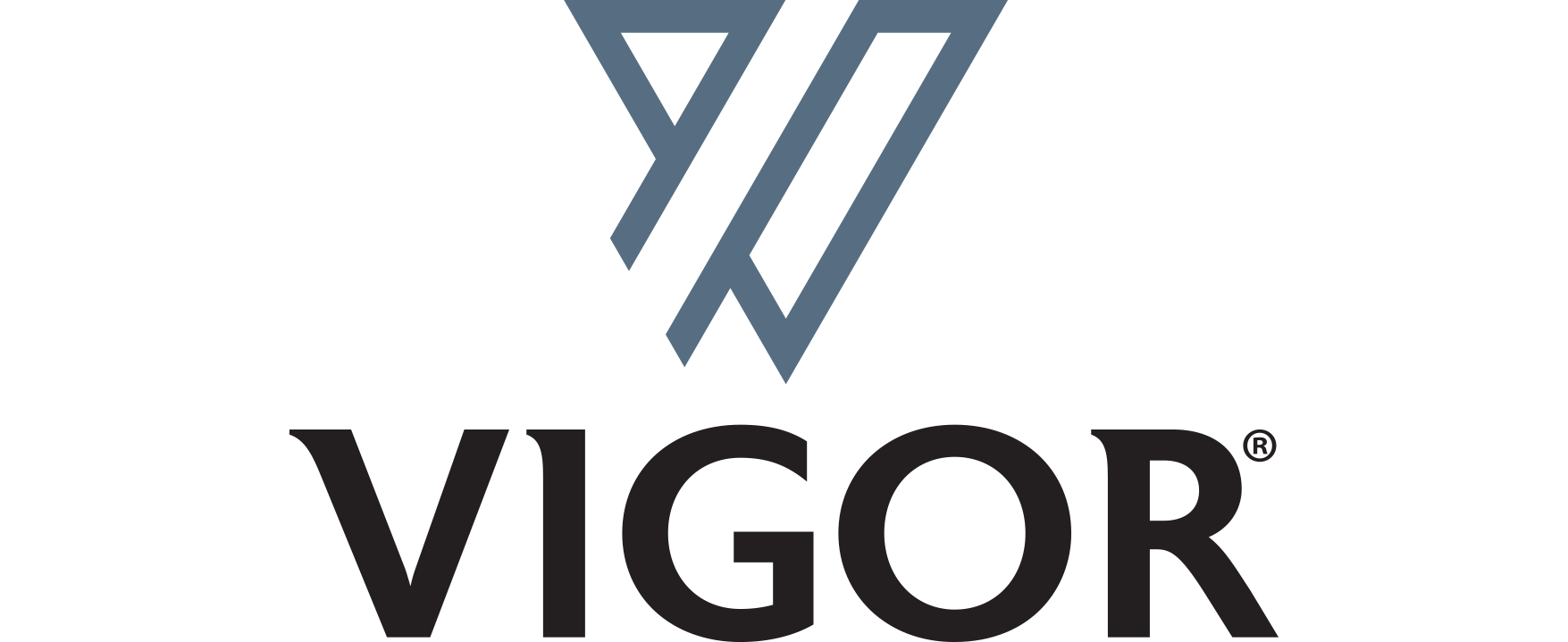 Vigor logo